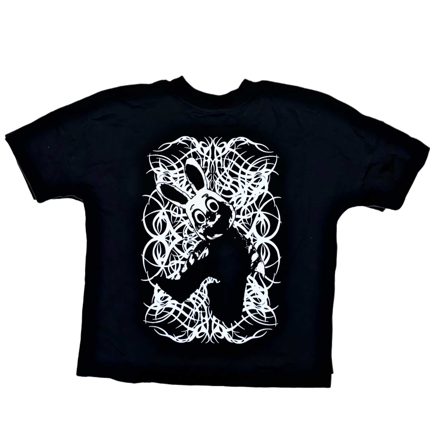 Sisters/Bunny Boxy T-Shirt